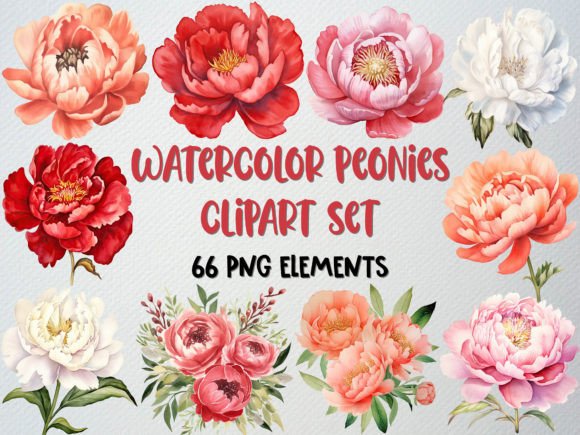 Download Watercolor Peonies Clipart, Floral Png - Floral png Collection